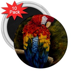 Preening 3  Button Magnet (10 pack)