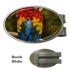 Preening Money Clip (Oval)