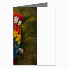 Preening Greeting Card (8 Pack)