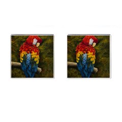 Preening Cufflinks (square) by TonyaButcher