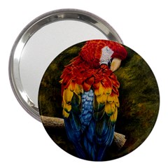 Preening 3  Handbag Mirror