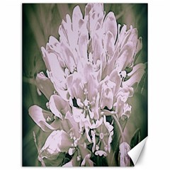 White Flower Canvas 12  X 16  (unframed)