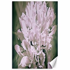 White Flower Canvas 20  X 30  (unframed)