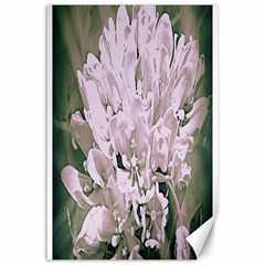 White Flower Canvas 24  X 36  (unframed)