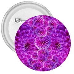 Purple Dahlias 3  Button by FunWithFibro