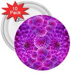 Purple Dahlias 3  Button (10 pack) Front