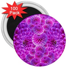 Purple Dahlias 3  Button Magnet (100 Pack) by FunWithFibro