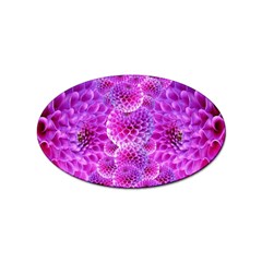 Purple Dahlias Sticker 10 Pack (oval)