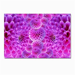 Purple Dahlias Postcard 4 x 6  (10 Pack) by FunWithFibro