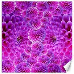 Purple Dahlias Canvas 16  X 16  (unframed) by FunWithFibro