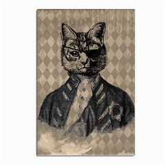 Harlequin Cat Postcards 5  X 7  (10 Pack)