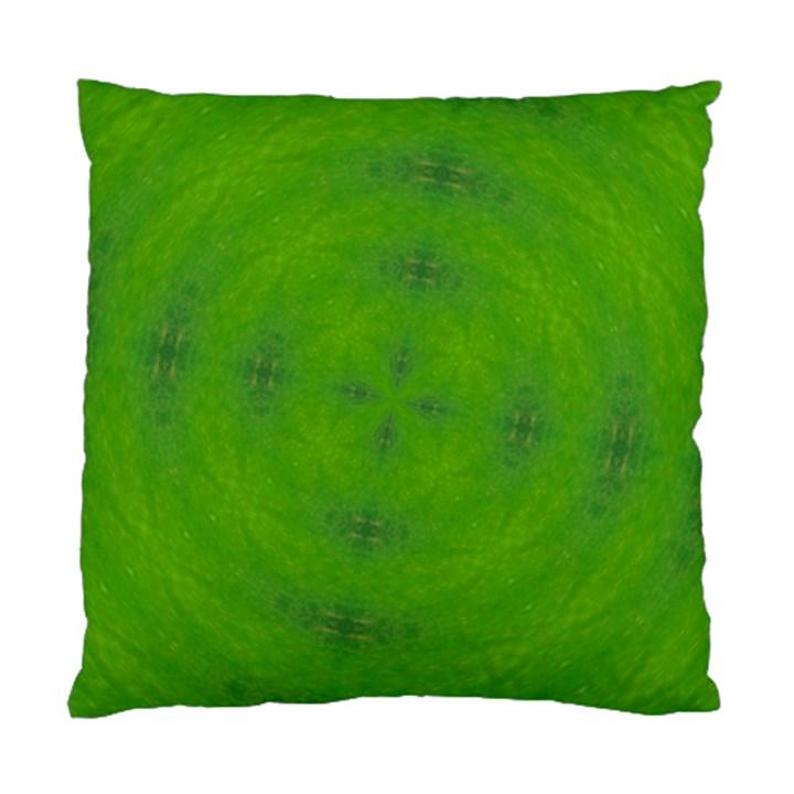 Go Green Kaleidoscope Cushion Case (Two Sided) 