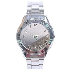 Banff Stainless Steel Watch