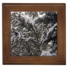 Snowy Trees Framed Ceramic Tile