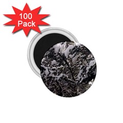 Snowy Trees 1 75  Button Magnet (100 Pack)