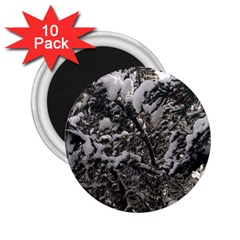 Snowy Trees 2 25  Button Magnet (10 Pack)