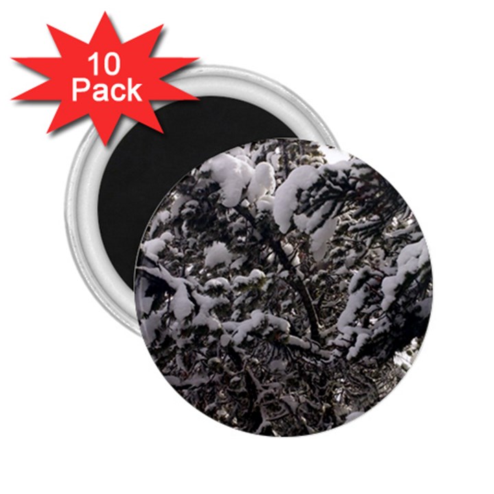 Snowy Trees 2.25  Button Magnet (10 pack)