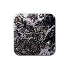 Snowy Trees Drink Coaster (square) by DmitrysTravels