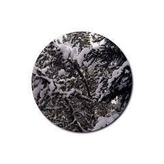 Snowy Trees Drink Coaster (round) by DmitrysTravels