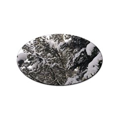 Snowy Trees Sticker (oval)