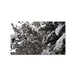 Snowy Trees Sticker (Rectangle) Front