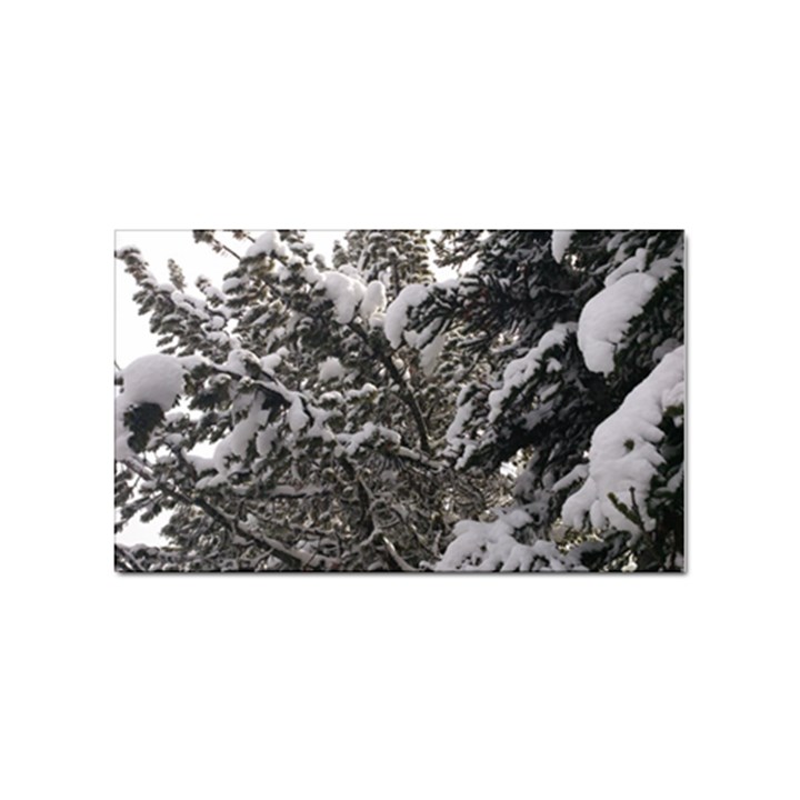 Snowy Trees Sticker (Rectangle)