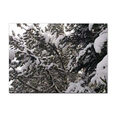 Snowy Trees A4 Sticker 10 Pack