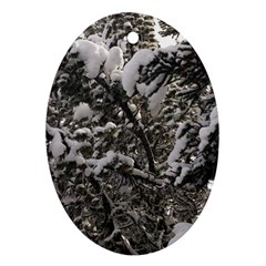 Snowy Trees Oval Ornament (two Sides)