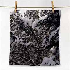 Snowy Trees Face Towel by DmitrysTravels