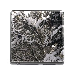 Snowy Trees Memory Card Reader With Storage (square) by DmitrysTravels