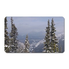 Trees Magnet (rectangular) by DmitrysTravels