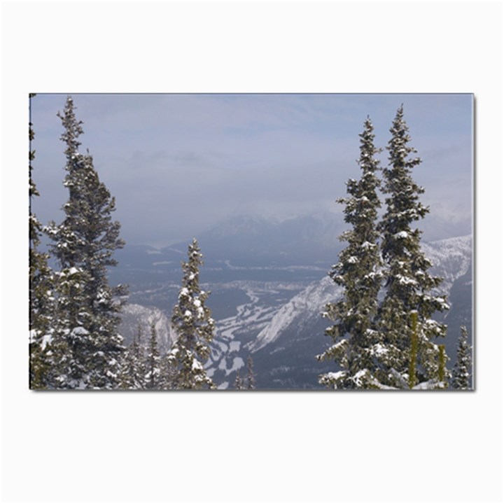 Trees Postcard 4 x 6  (10 Pack)