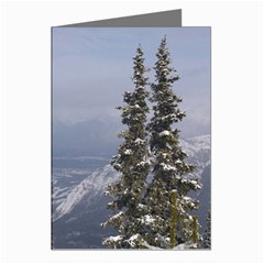 Trees Greeting Card (8 Pack) by DmitrysTravels