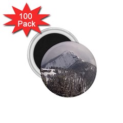 Gondola 1 75  Button Magnet (100 Pack) by DmitrysTravels