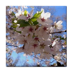 Sakura Ceramic Tile by DmitrysTravels