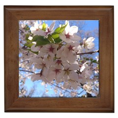 Sakura Framed Ceramic Tile