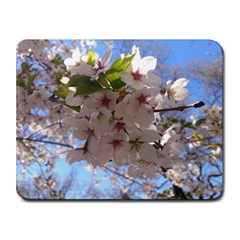 Sakura Small Mouse Pad (rectangle) by DmitrysTravels