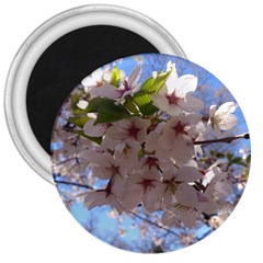 Sakura 3  Button Magnet by DmitrysTravels