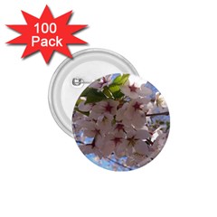 Sakura 1 75  Button (100 Pack) by DmitrysTravels