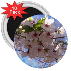 Sakura 3  Button Magnet (10 Pack) by DmitrysTravels