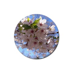 Sakura Drink Coasters 4 Pack (round) by DmitrysTravels