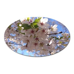 Sakura Magnet (oval) by DmitrysTravels