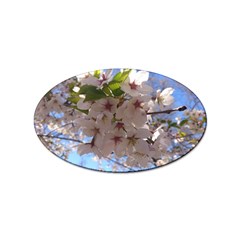 Sakura Sticker 100 Pack (oval) by DmitrysTravels