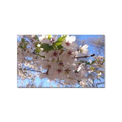 Sakura Sticker 10 Pack (rectangle) by DmitrysTravels