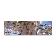 Sakura Bumper Sticker 10 Pack by DmitrysTravels