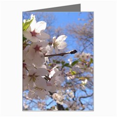 Sakura Greeting Card by DmitrysTravels