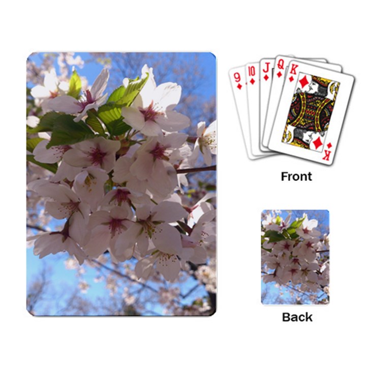 Sakura Playing Cards Single Design