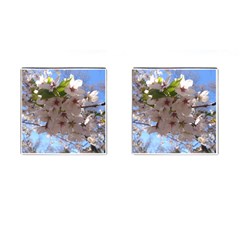 Sakura Cufflinks (square) by DmitrysTravels