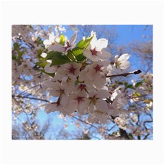 Sakura Glasses Cloth (small, Two Sided) by DmitrysTravels