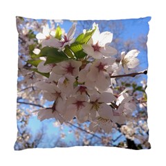 Sakura Cushion Case (two Sided)  by DmitrysTravels